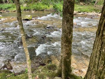 Rippling Waters #278, Cosby (fotografie 5)