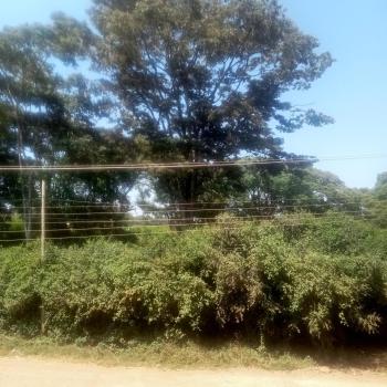 Wolf Cabins 2, Nyeri (zdjęcie 2)