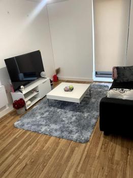 Cozie 1 BR apartment, Manchester (Foto 5)