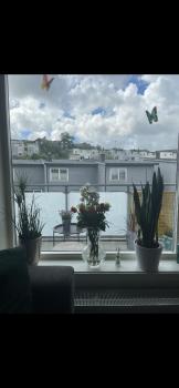 Frihet, Sandnes (photo 3)