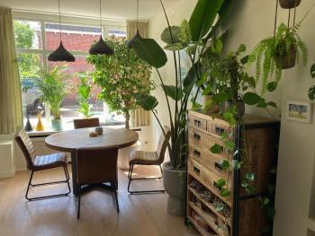 Charming little palace near the city center only bookable for long stay whole February 2026, Utrecht (Foto 4)