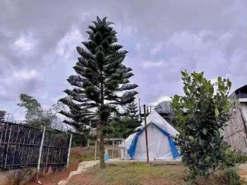 ภูเก็บตะวัน, Khao Kho (photo 4)