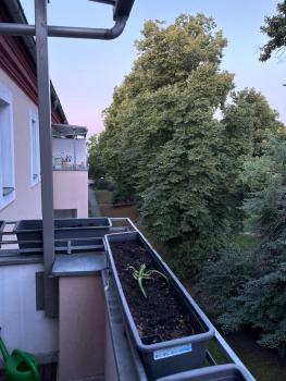 Furnished well equipped 2 room apartment in Wedding, Berlín (foto 3)