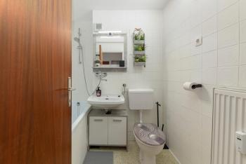 Cosy and Bright Apartment, Lublaň (fotografie 4)