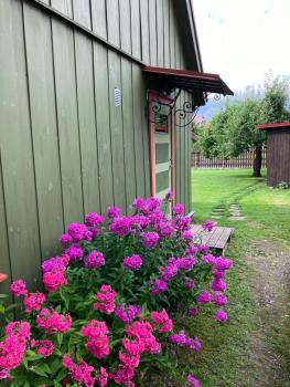 Arkaadia aed, Viljandi (photo 2)