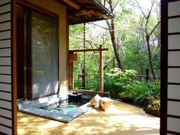 Nonohanatei komurasaki, Shimoda (foto 4)