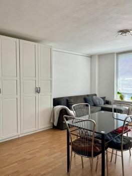 Sunny apartment near the center, Bratislava (fotografie 5)