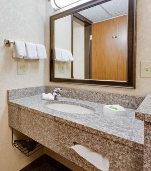 Wingate by Wyndham St Louis-Fenton Route 66, Fenton (photo 5)