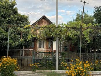 cottage in Chakvi, Chakvi (fotografie 2)
