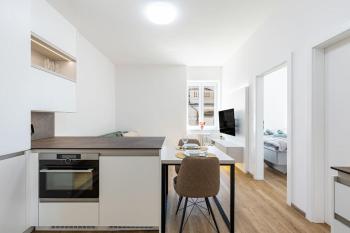 BNB Stylish apartment next to president palace, Bratislava (fotografie 3)