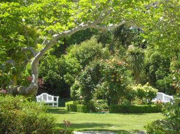 Oinako Bed & Breakfast, Akaroa (fotografie 5)