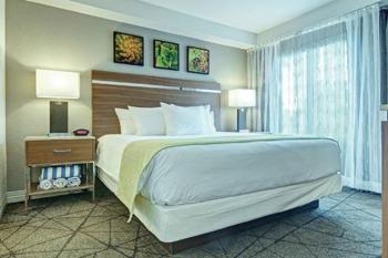 Beautiful Hotel in Desert Rose Resort - 1BD Sleeps, Las Vegas (foto 3)
