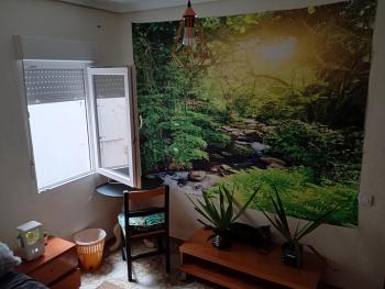 Großes modernes Zimmer Silber für 2 Personen und Katzenliebhaber, Valencie (fotografie 4)