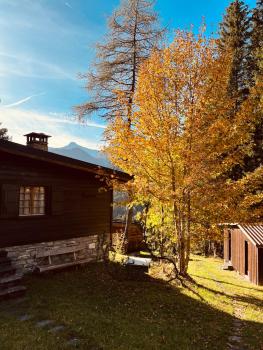Schönes Chalet in Adelboden, Adelboden (fotografie 5)