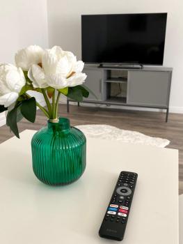 Zentrales Neues Apartment, Hamburk (fotografie 2)