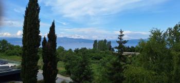 Dojran rules, Star Dojran (Foto 3)