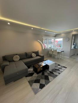 Chicago Modern 1BDR apt near Arena 8888 Sofia and SofiaMed, Sofia (Foto 3)