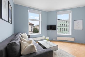 Modern and bright apartment in central Oslo, Oslo (photo 4)