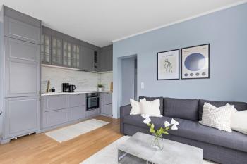 Modern and bright apartment in central Oslo, Oslo (photo 3)