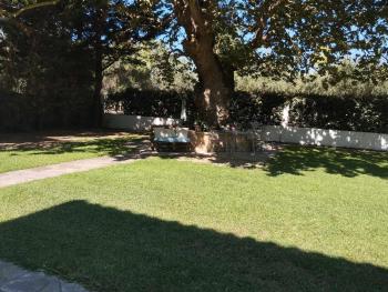 Studio eva, Palouki (foto 3)