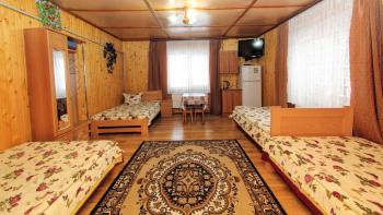 Апартаменти біля лісу, Jablunycja (fotografie 2)