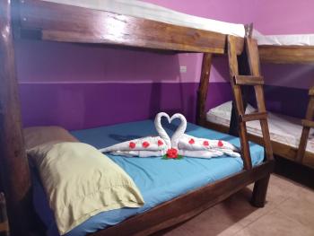 Gringo Petes Too, Fortuna (photo 3)