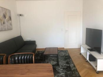 Executive 1BR flat, city center - Hammer 3, Zürich (photo 5)
