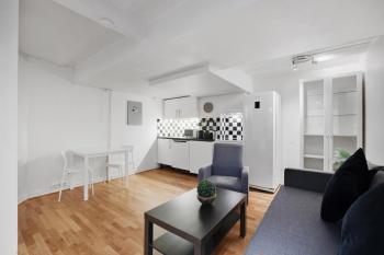 Great Studio Apartment for 4 Oslo Central, Осло (фото 3)