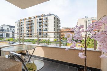 Cardinal Suite, Sofie (fotografie 5)