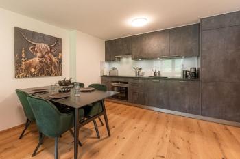 Stylish Apt by Ski Bus, Train and Village Center, Zermatt (fotografie 5)