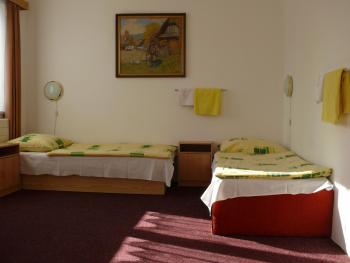 Penzion Dana Troja, Prague (photo 4)