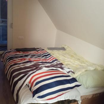 Hause with jacuzzi half hour from Budapest, Velence (photo 4)