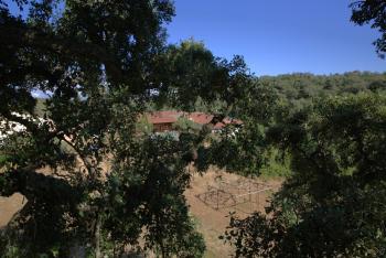 Tent in a Regenerative farm, São Luis (zdjęcie 4)