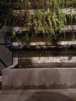 Relaxing House in Kuala Lumpur, Kuala Lumpur (photo 2)