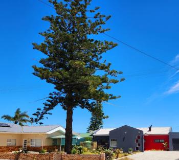 Die Boom, Lambertʼs Bay (fotografie 5)