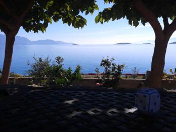 Niriides, Galaxidhion (foto 4)