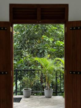 Everdew Kandy, Kandy (photo 4)