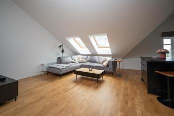 Central & Cozy Rooftop Flat, Tallin (foto 3)