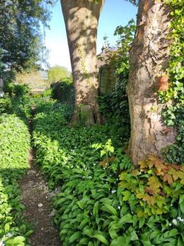 Lovely 2-bedroom home with stunning city views, Bath (fotografie 4)