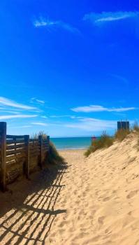 Dune Delight, Camber (foto 2)