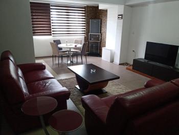 Central Lux Apartment, Skopje (foto 2)