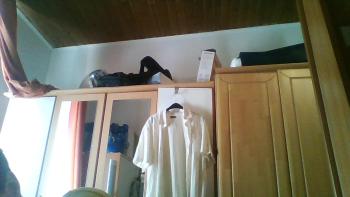 Pappelbaum, Vienne (photo 3)