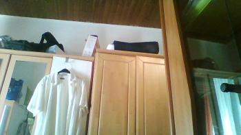 Pappelbaum, Vienne (photo 5)