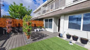 Tuis Nest Auckland NZ, Auckland (foto 3)