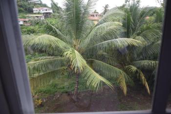 My Gem in the Caribbean, Castries (foto 4)