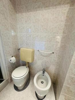 Villa Giulia, strategic position, Turin (photo 3)