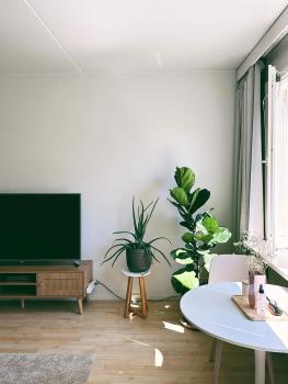 Cozy central flat next to tram and bus stations, Helsinky (fotografie 2)