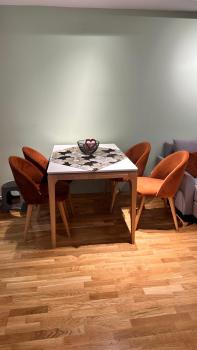 Sara apartment, Skopje (photo 3)