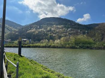 Altes Eichamt, Bernkastel-Kues (fotografie 5)