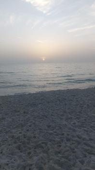 Wave, Sidi Bou Ali (photo 2)